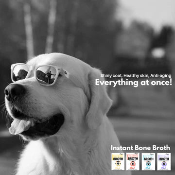 Doggos Instant Chicken Bone Broth for Dogs and Cats