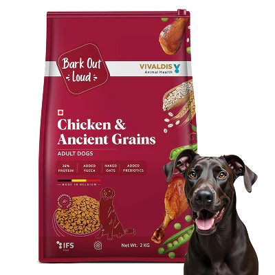 Bark Out Loud Chicken & Ancient Grains Adult Dog Dry Food