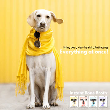 Doggos Instant Chicken Bone Broth for Dogs and Cats