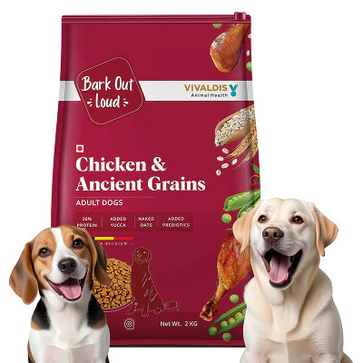 Bark Out Loud Chicken & Ancient Grains Adult Dog Dry Food