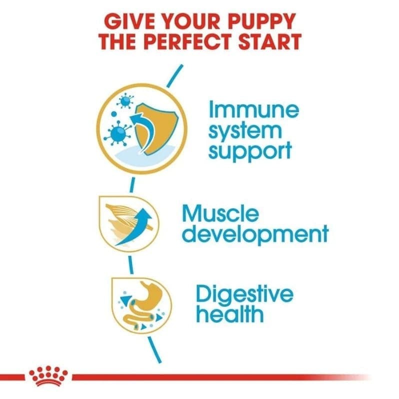 Royal Canin Boxer Puppy Dog Dry Food