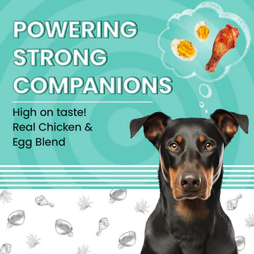 Bark Out Loud Essentials Real Chicken Medium and Large Breed Adult Dog Dry Food