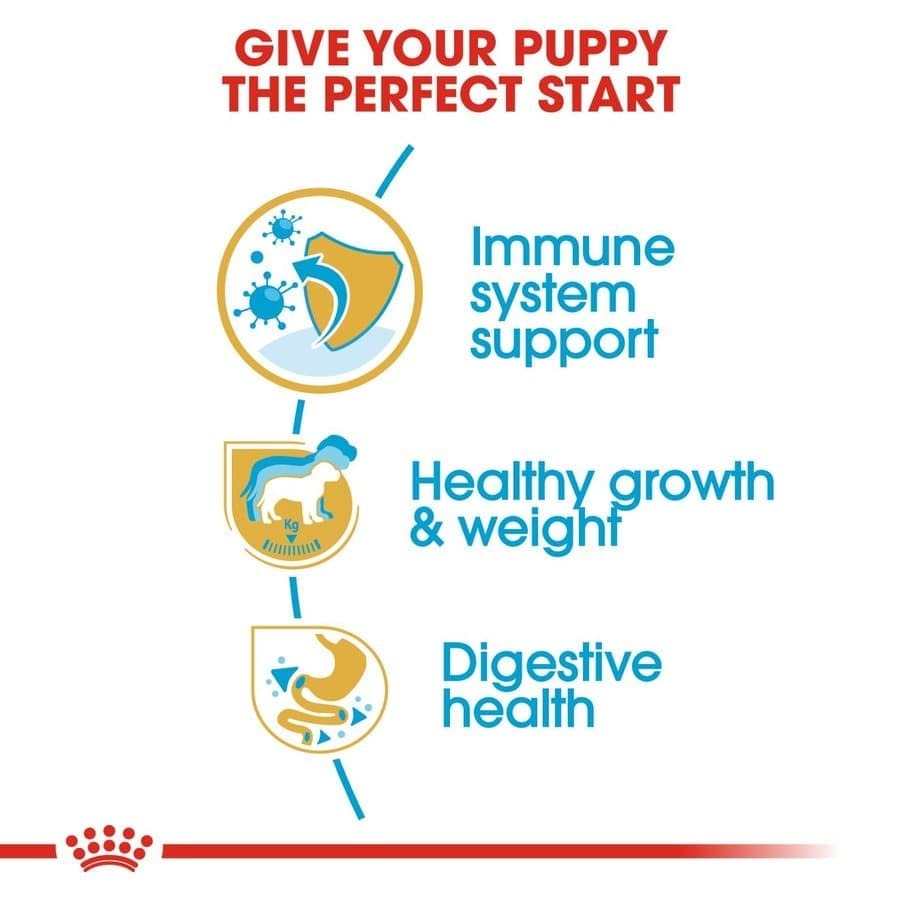 Royal Canin Labrador Retriever Puppy Dog Dry Food