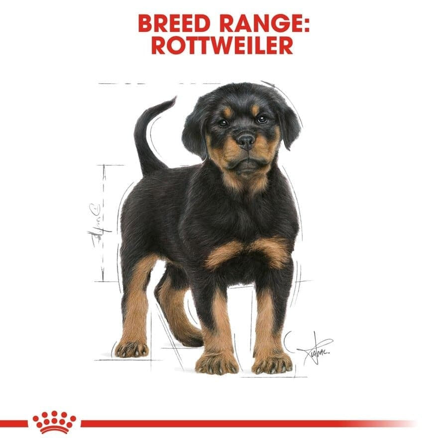 Royal Canin Rottweiler Puppy Dog Dry Food