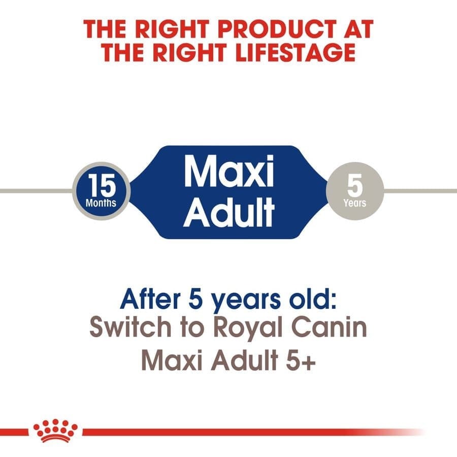 Royal Canin Maxi Adult Dog Dry and Wet Food Combo