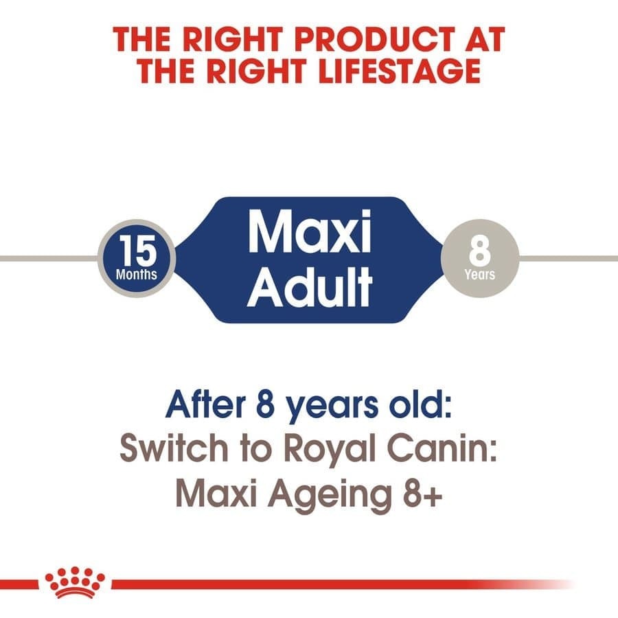 Royal Canin Maxi Adult Dog Dry and Wet Food Combo