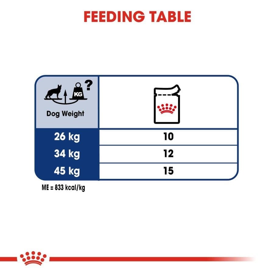 Royal Canin German Shepherd 5+Dry Food and Maxi Adult Dog Wet Food Combo