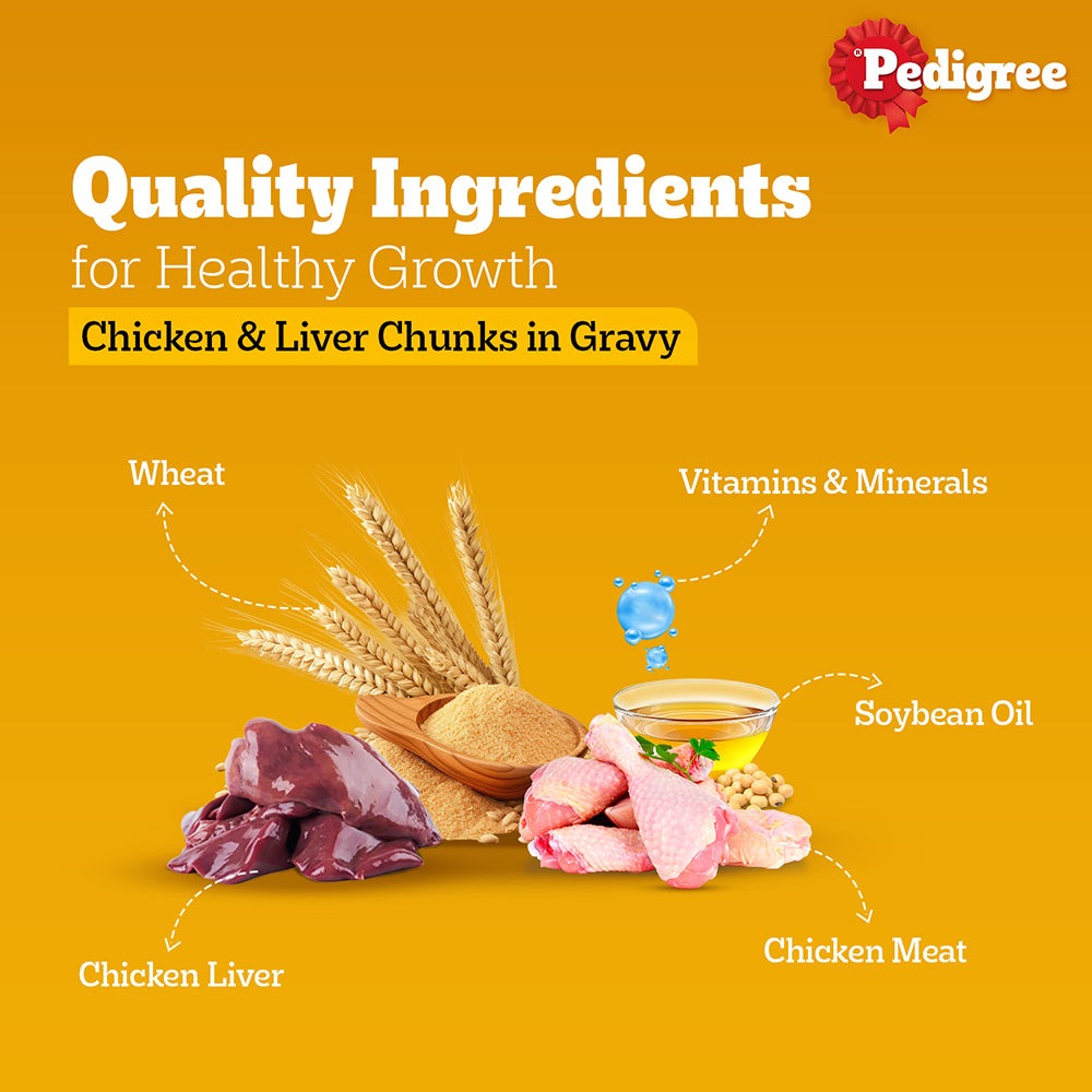 Pedigree Chicken and Liver Chunks in Gravy Adult Dog Wet Food (70g)