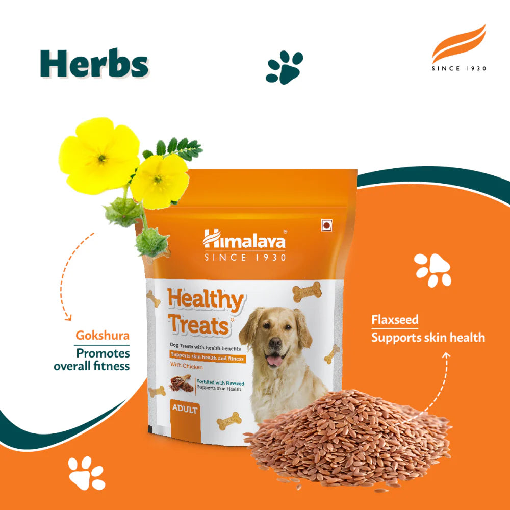 Himalaya Chicken Healthy Adult Treats and Benebone Bacon Flavored Dental Chew Toy for Dogs Combo