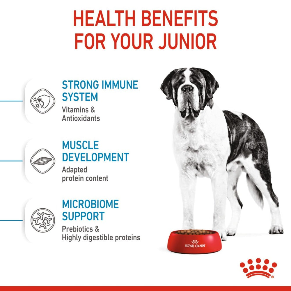 Royal Canin Giant Junior Dog Dry Food