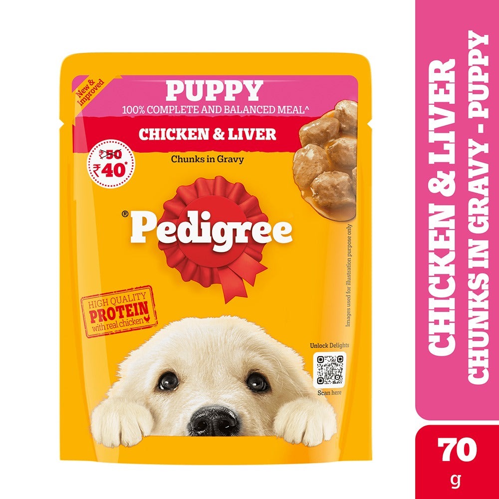 Pedigree PRO Expert Nutrition for Large Breed Puppy (3 to 18 Months) Dry Food and Pedigree Chicken & Liver Chunks in Gravy Puppy Wet Food Combo for Dogs