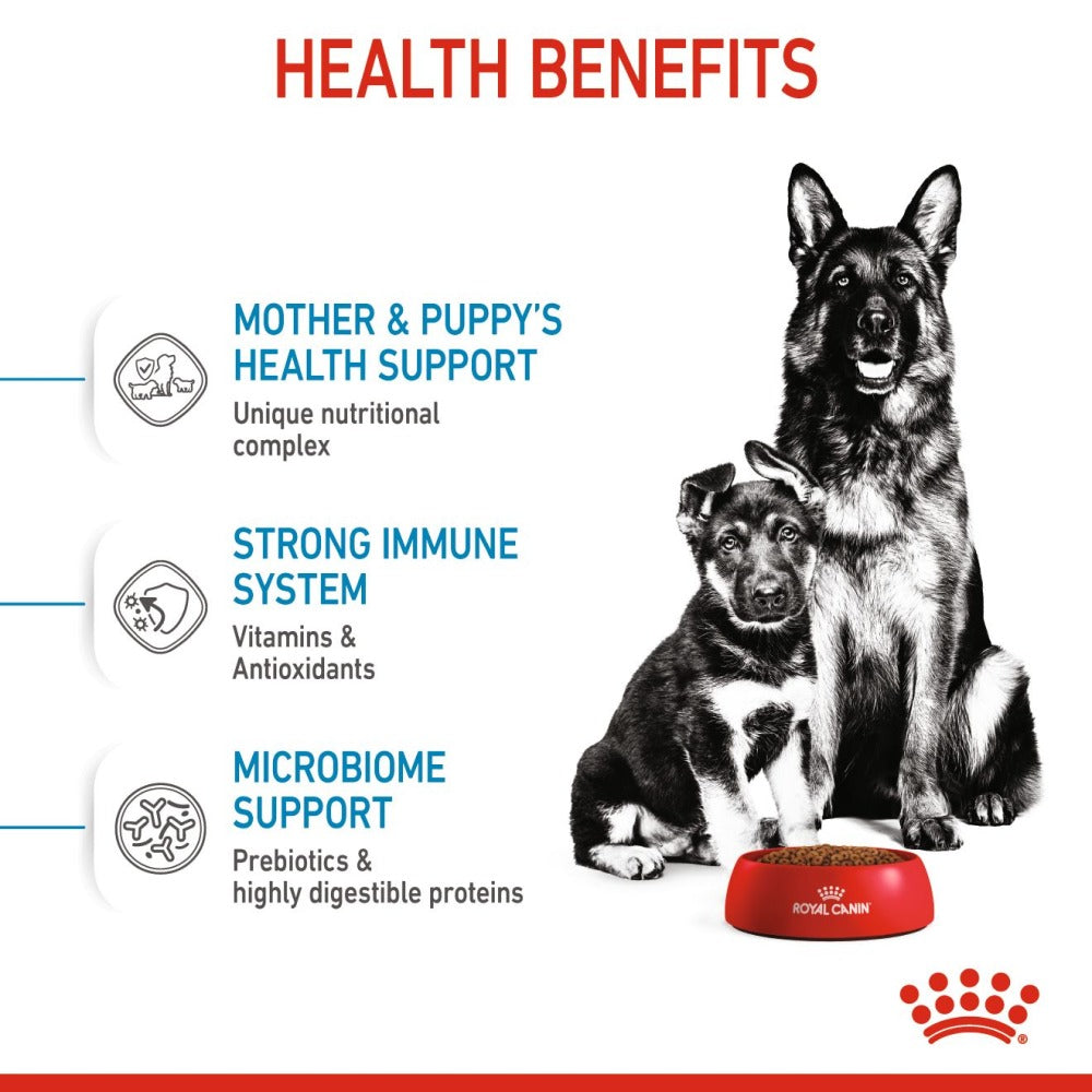 Royal Canin Maxi Starter Dry Food and Maxi Puppy Dog Wet Food Combo