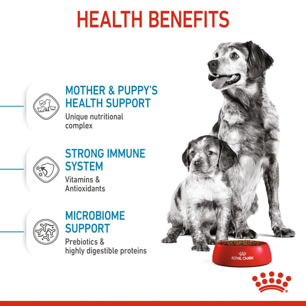 Royal Canin Medium Starter Dry Food for Medium Breed Dog and Puppies