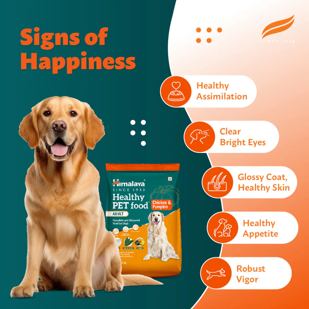 Himalaya Chicken & Pumpkin Dry Food and Chicken Healthy Treats Adult Dog Combo