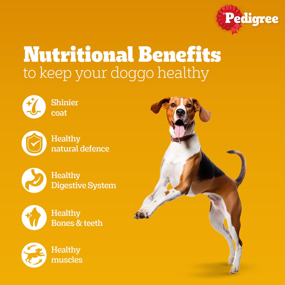 Pedigree Chicken and Milk Puppy Dog Dry Food