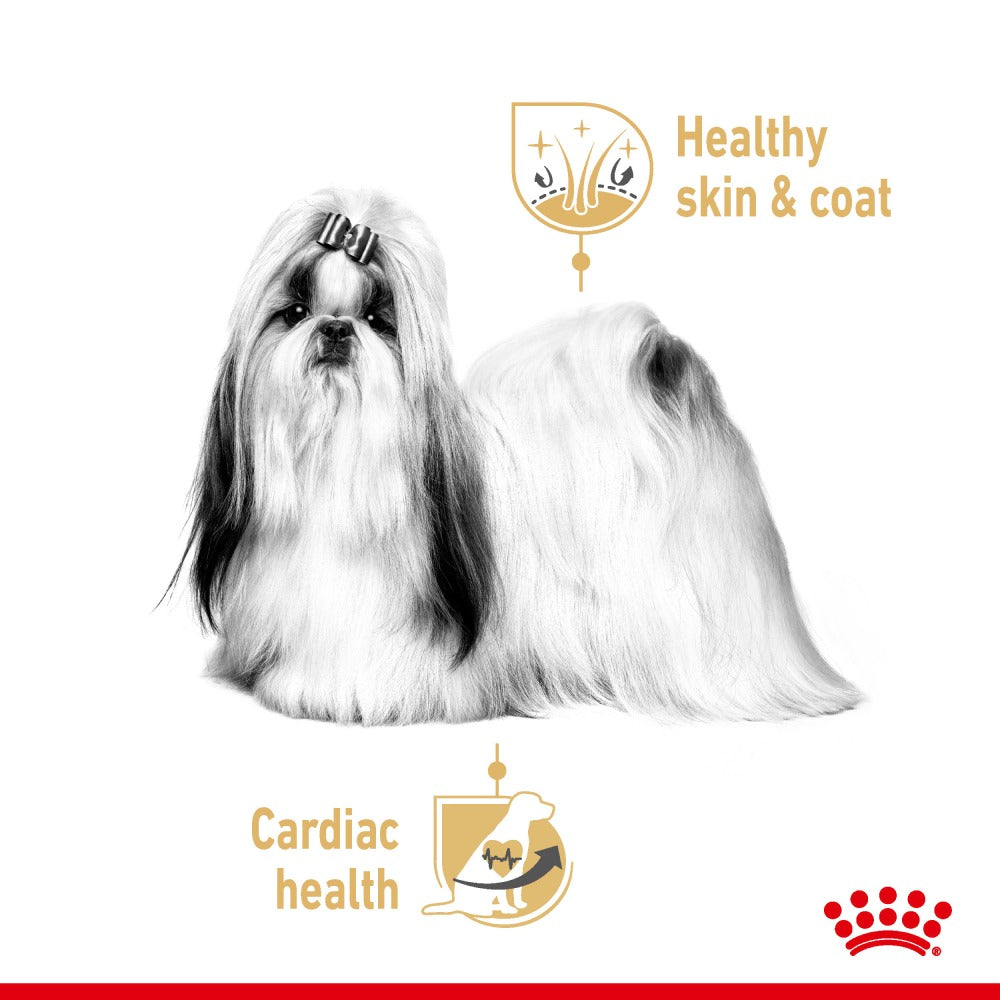 Royal Canin Loaf In Gravy Shih Tzu Adult Dog Wet Food