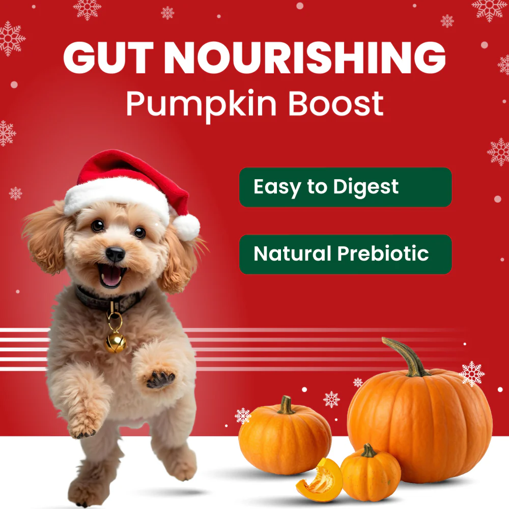 Bark Out Loud Collagen Protein Bar Chicken & Fish Treat for Dogs (Christmas Edition)