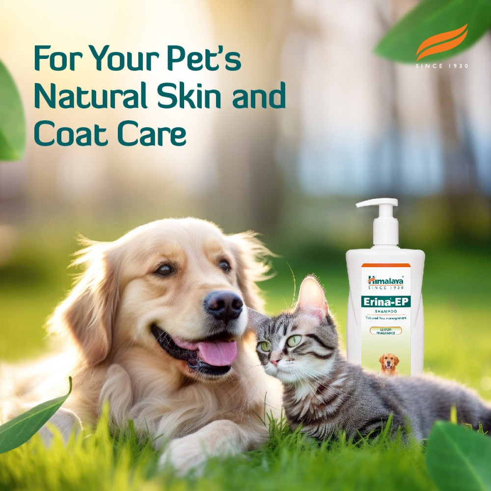 Himalaya Erina EP Tick and Flea Shampoo for Dogs and Cats