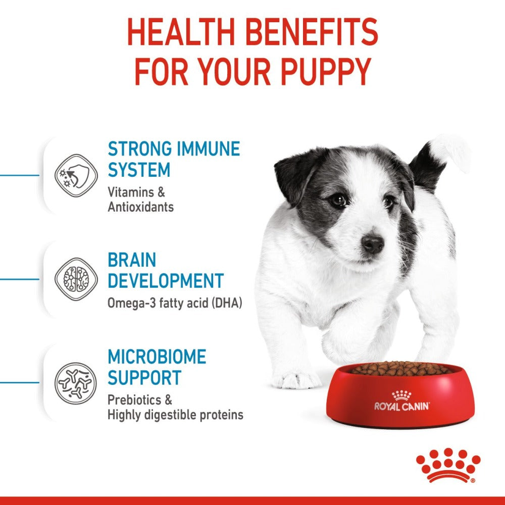 Royal Canin Mini Puppy Dog Dry and Wet Food Combo