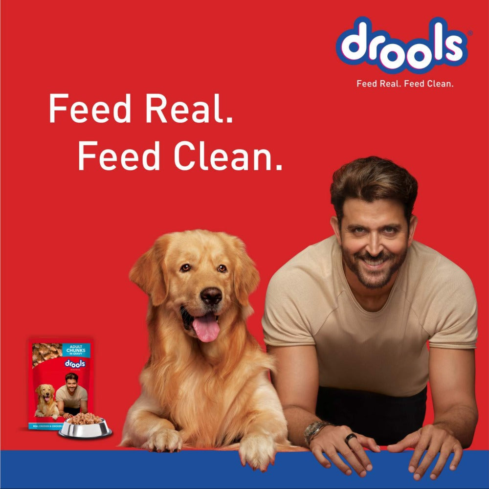 Drools Real Chicken & Chicken Liver Chunks in Gravy Adult Dog Wet Food (60g)