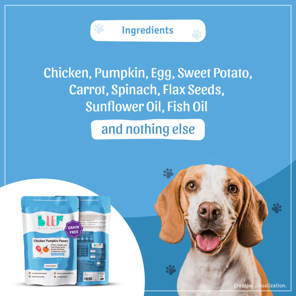 BLEP Chicken & Pumpkin Pawer Dog Wet Food (300g)