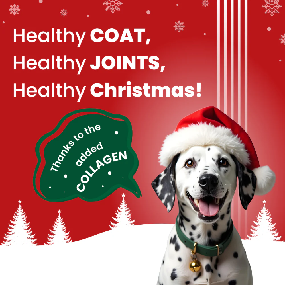 Bark Out Loud Collagen Protein Bar Chicken & Fish Treat for Dogs (Christmas Edition)