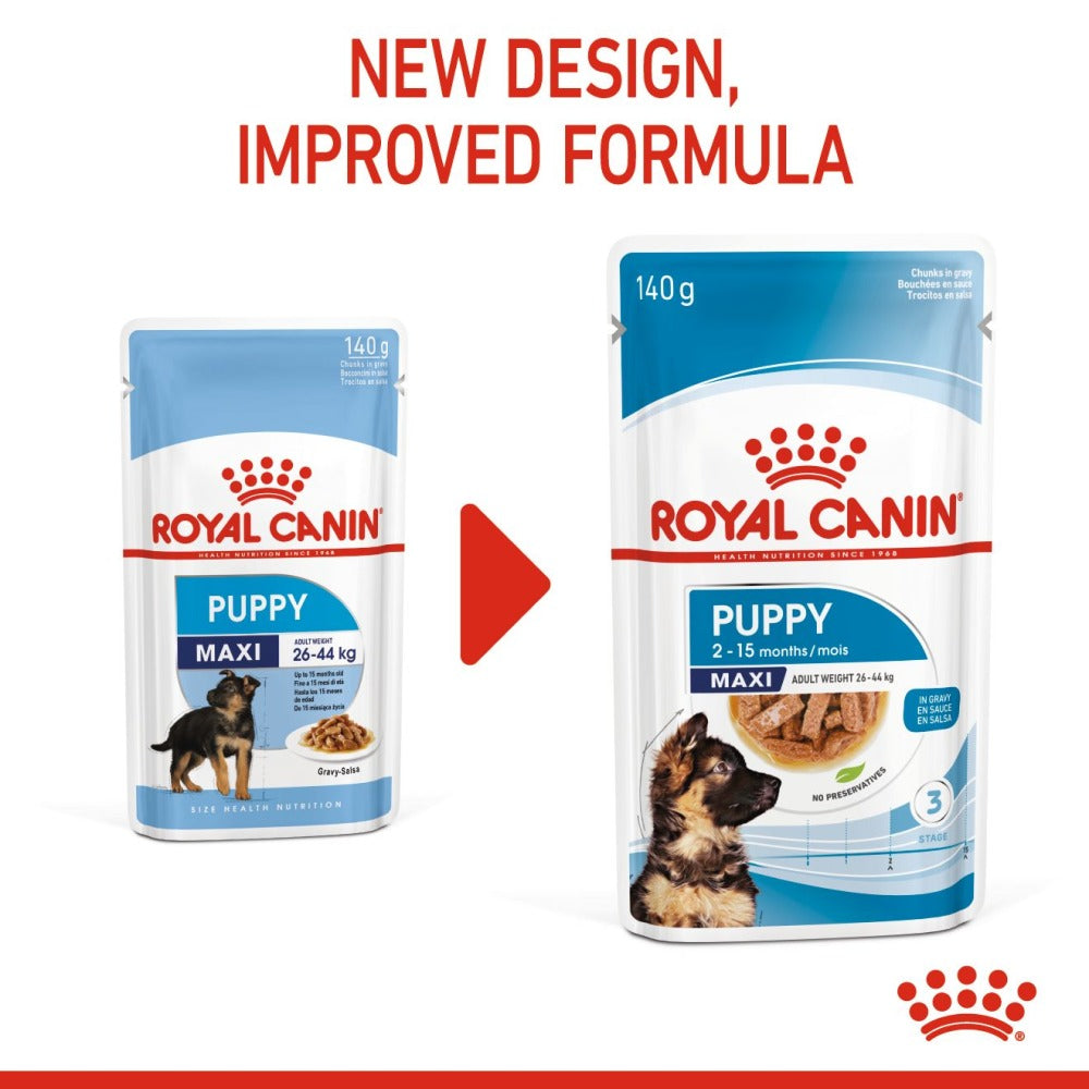 Royal Canin Maxi Starter Dry Food and Maxi Puppy Dog Wet Food Combo