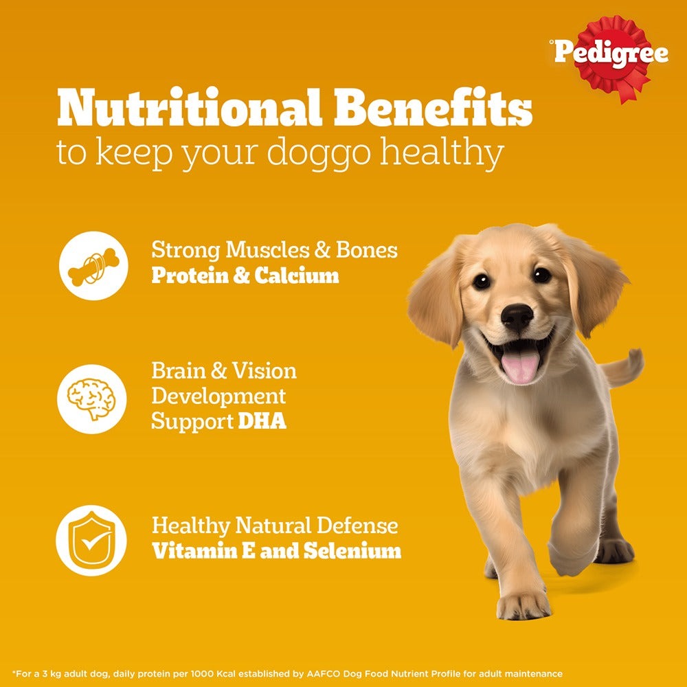 Pedigree PRO Expert Nutrition for Large Breed Puppy (3 to 18 Months) Dry Food and Pedigree Chicken & Liver Chunks in Gravy Puppy Wet Food Combo for Dogs