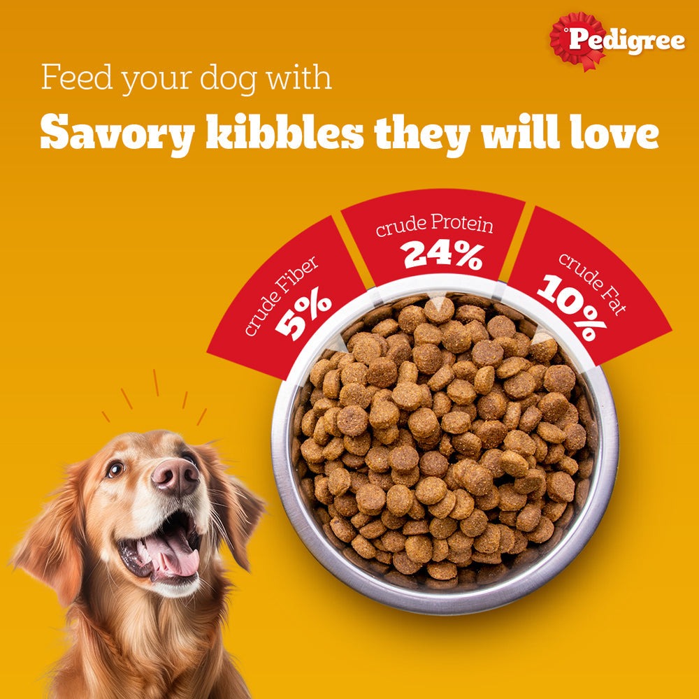 Pedigree Chicken and Milk and Chicken Chunks in Gravy Puppy Dry and Wet Food Combo