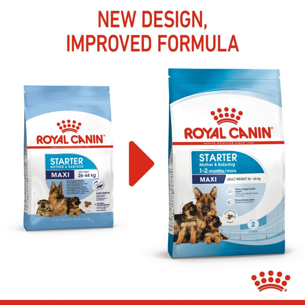 Royal Canin Maxi Starter Dry Food and Maxi Puppy Dog Wet Food Combo