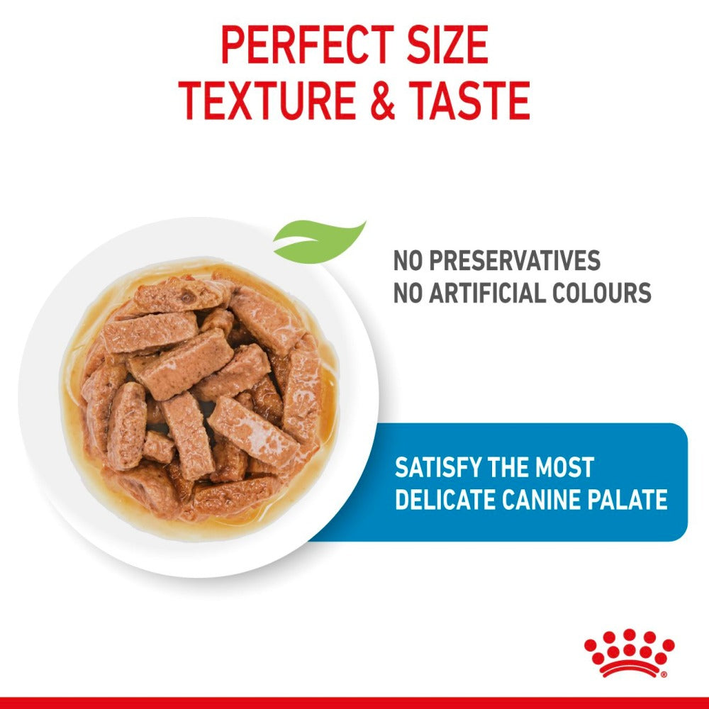 Royal Canin Giant Puppy Dry Food and Maxi Puppy Dog Wet Food Combo