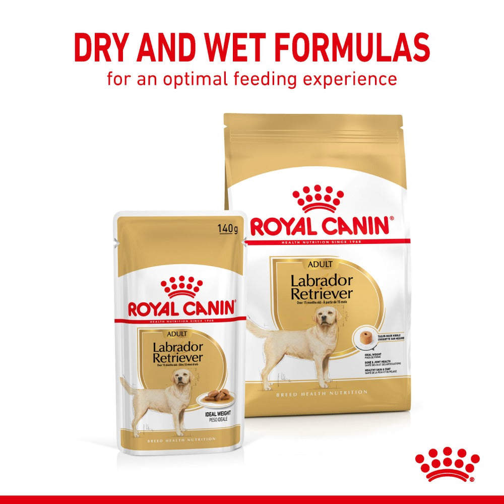 Royal Canin Chunks In Gravy Labrador Retriever Adult Dog Wet Food