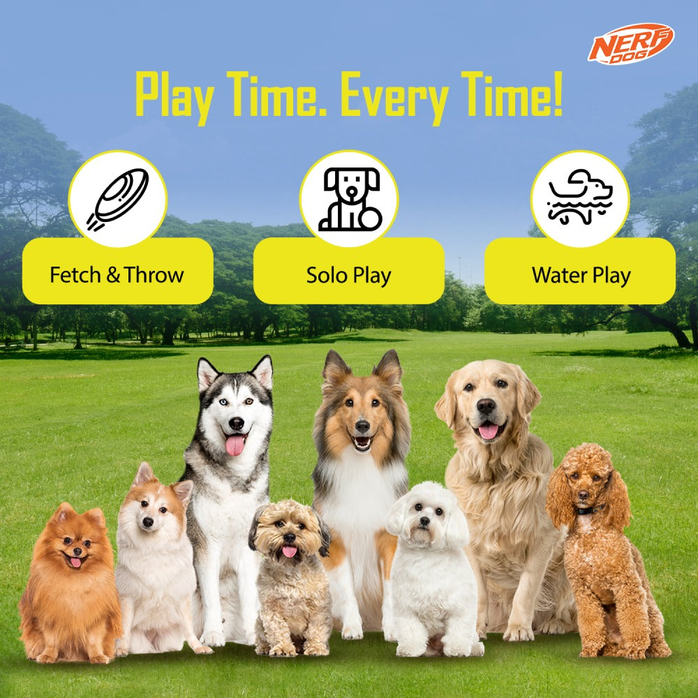 Pedigree Dentastix Oral Care Adult Treats, Nerf Bash EXO Micro Squeak Football Toy and Drools Non Toxic Rubber Hole Ball Teething Toy for Dogs Combo