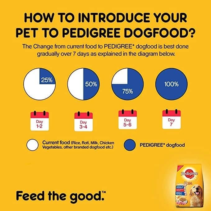 Pedigree Chicken and Vegetables Dry and Chicken and Liver Chunks in Gravy Wet Adult Dog Food Combo