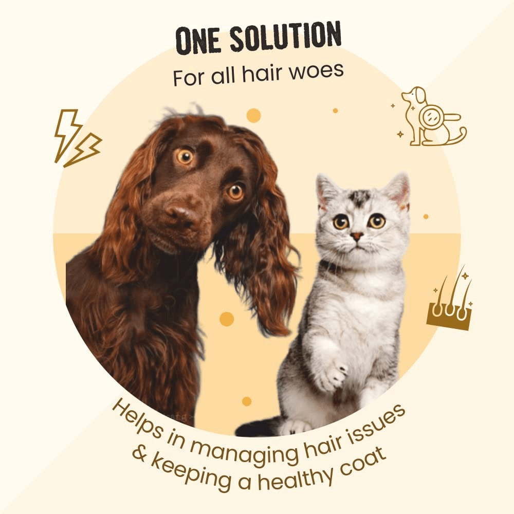 Henlo Everyday Topper for Home Cooked Food and Bark Out Loud Skin & Coat Sardine Oil for Dogs Combo