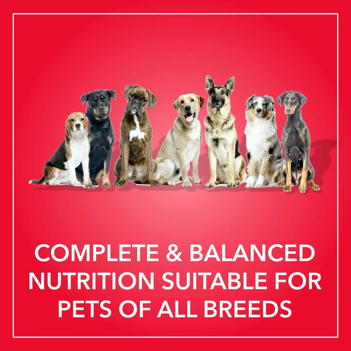 Purepet Meat and Rice Adult Dog Dry Food