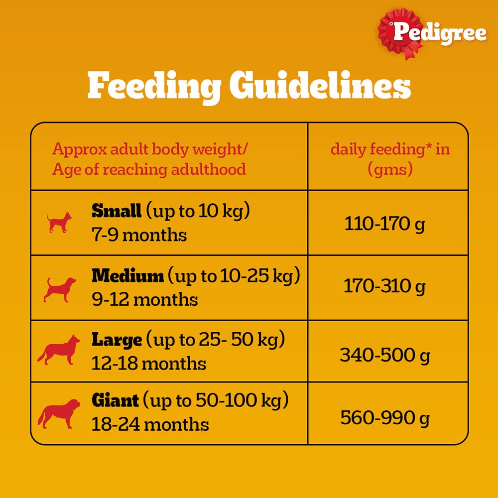 Pedigree Meat & Rice and Chicken and Liver Chunks in Gravy Adult Dry and Wet Food Combo