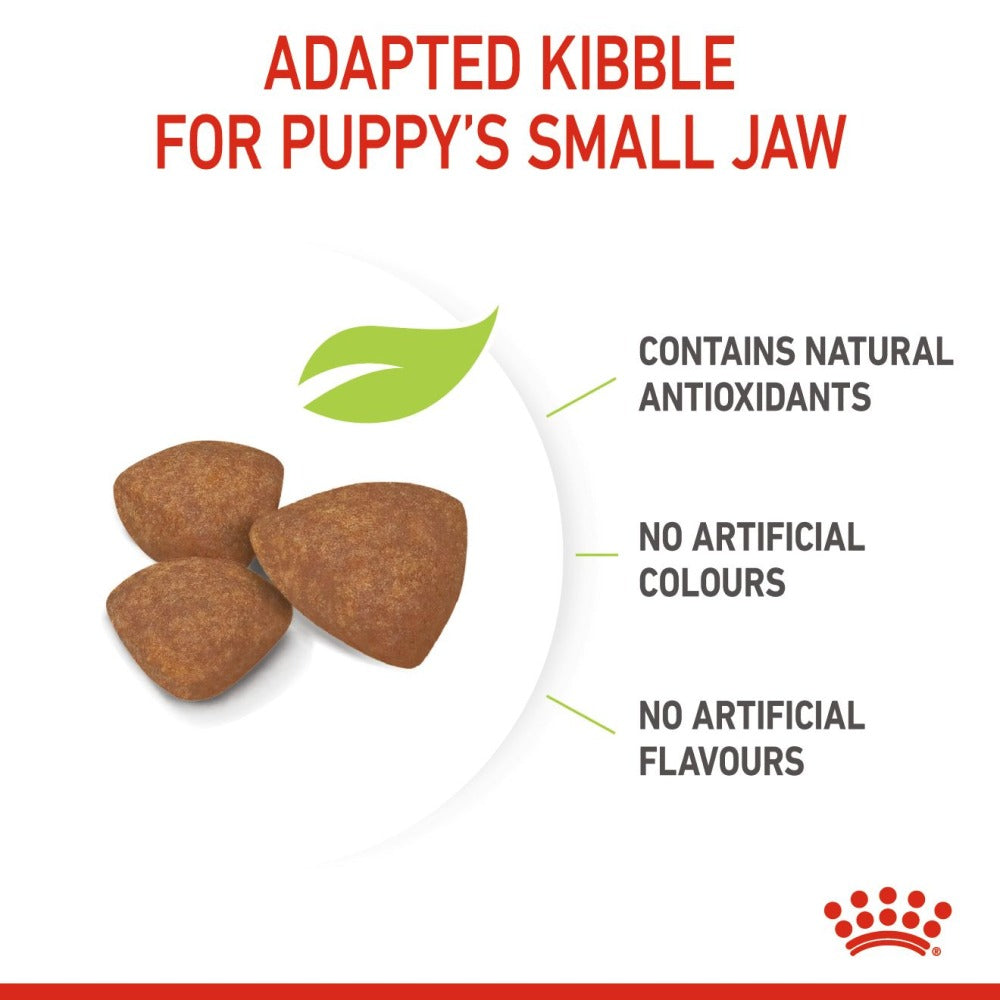 Royal Canin Mini Puppy Dog Dry Food