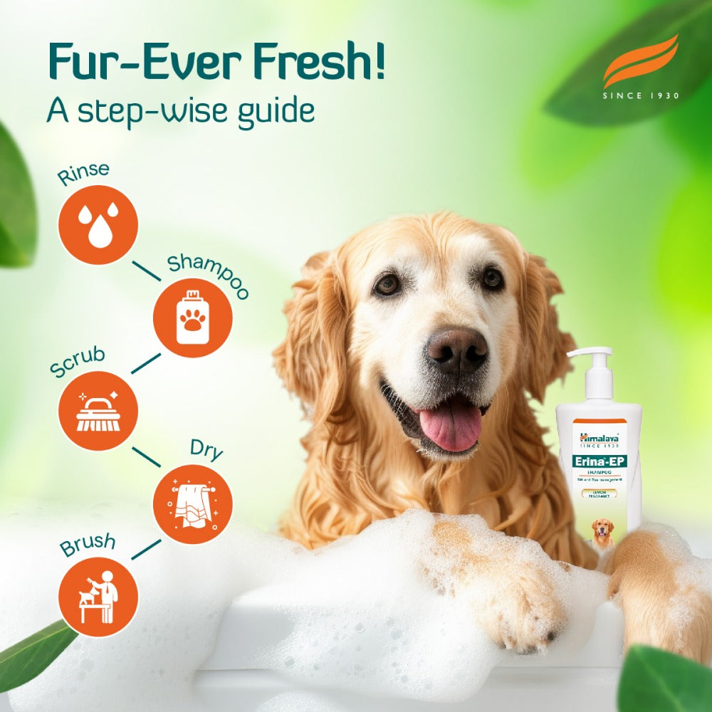 Himalaya Erina EP Tick and Flea Shampoo for Dogs and Cats