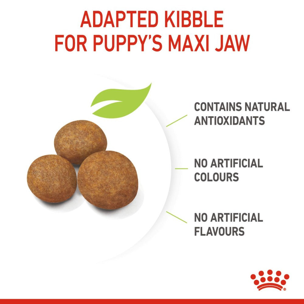 Royal Canin Maxi Puppy Dog Dry and Wet Food Combo