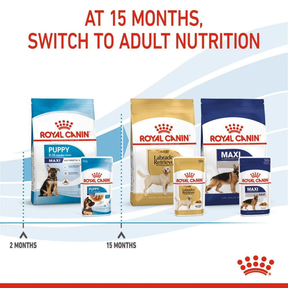 Royal Canin Maxi Starter Dry Food and Maxi Puppy Dog Wet Food Combo