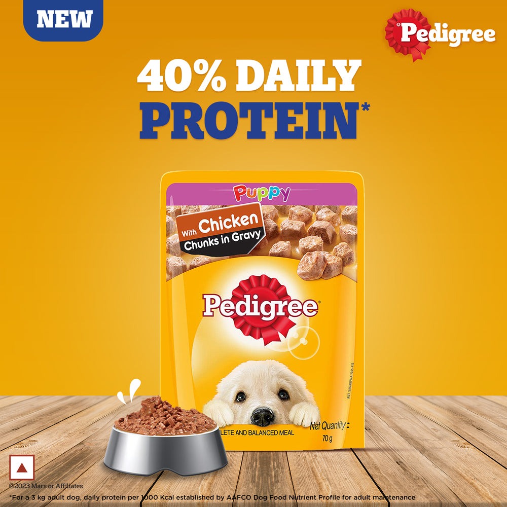 Pedigree Chicken & Liver Chunks in Gravy Puppy Wet Dog Food