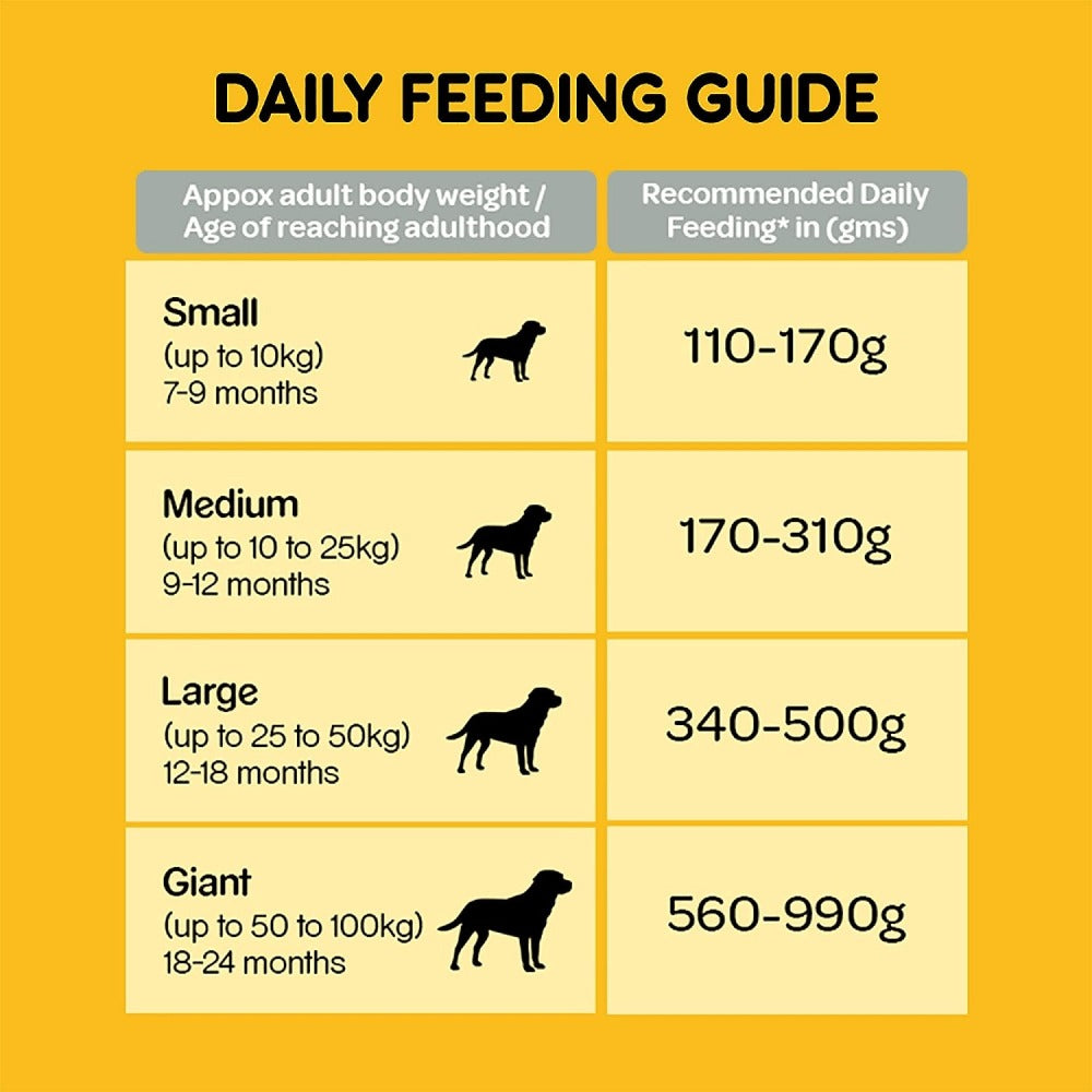 Pedigree Chicken, Egg and Rice Dry and Chicken and Liver Chunks in Gravy Wet Adult Dog Food Combo