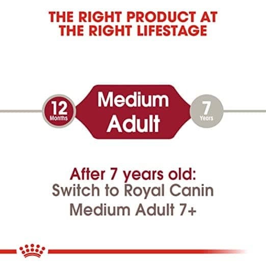 Royal Canin Medium Adult Dog Dry and Wet Food Combo