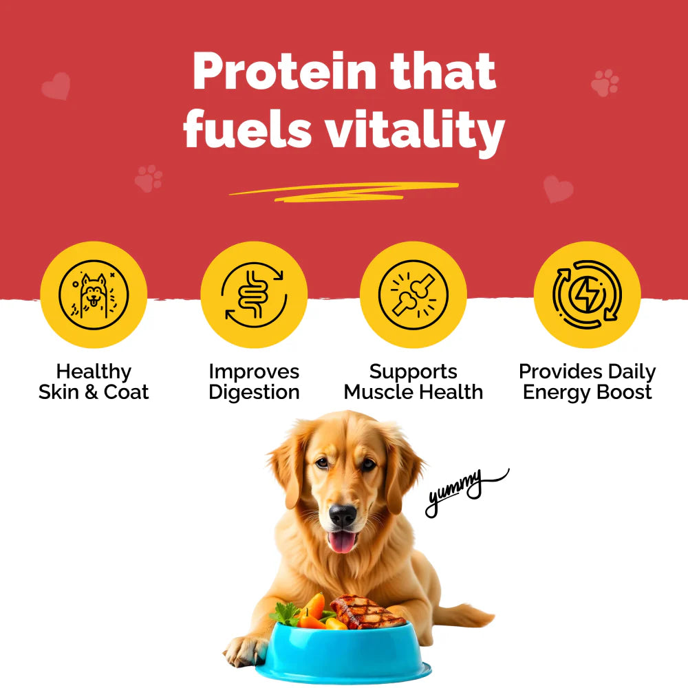 PetStrong Chicken and Rice Fresh Food and 2.2 Meal Protein Booster for Dogs Combo