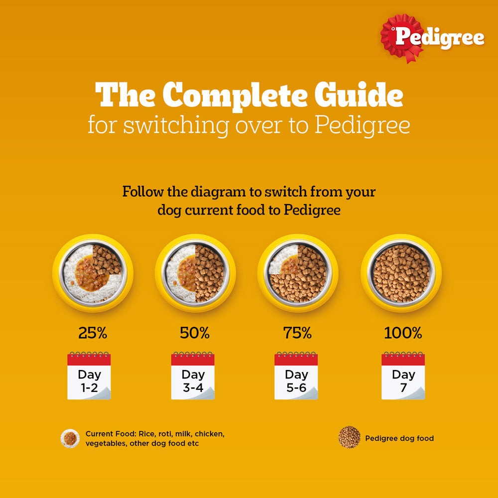 Pedigree Meat & Rice and Chicken and Liver Chunks in Gravy Adult Dry and Wet Food Combo