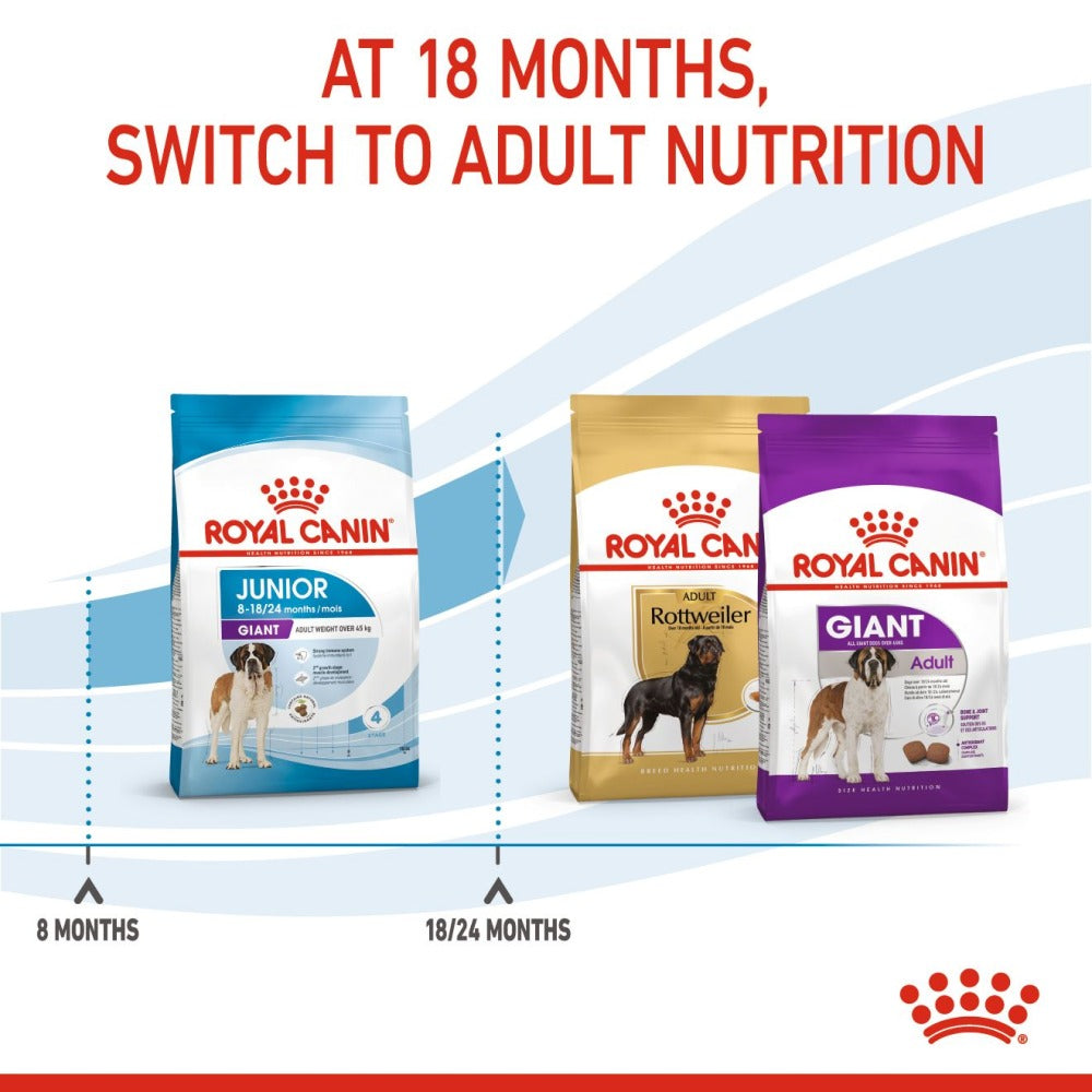 Royal Canin Giant Junior Dog Dry Food