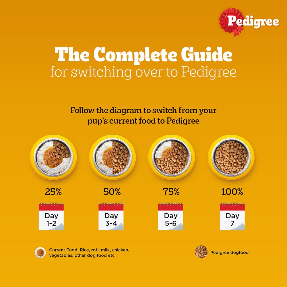 Pedigree Chicken and Vegetables and Chicken and Liver Chunks in Gravy Adult Dry and Wet Food Combo