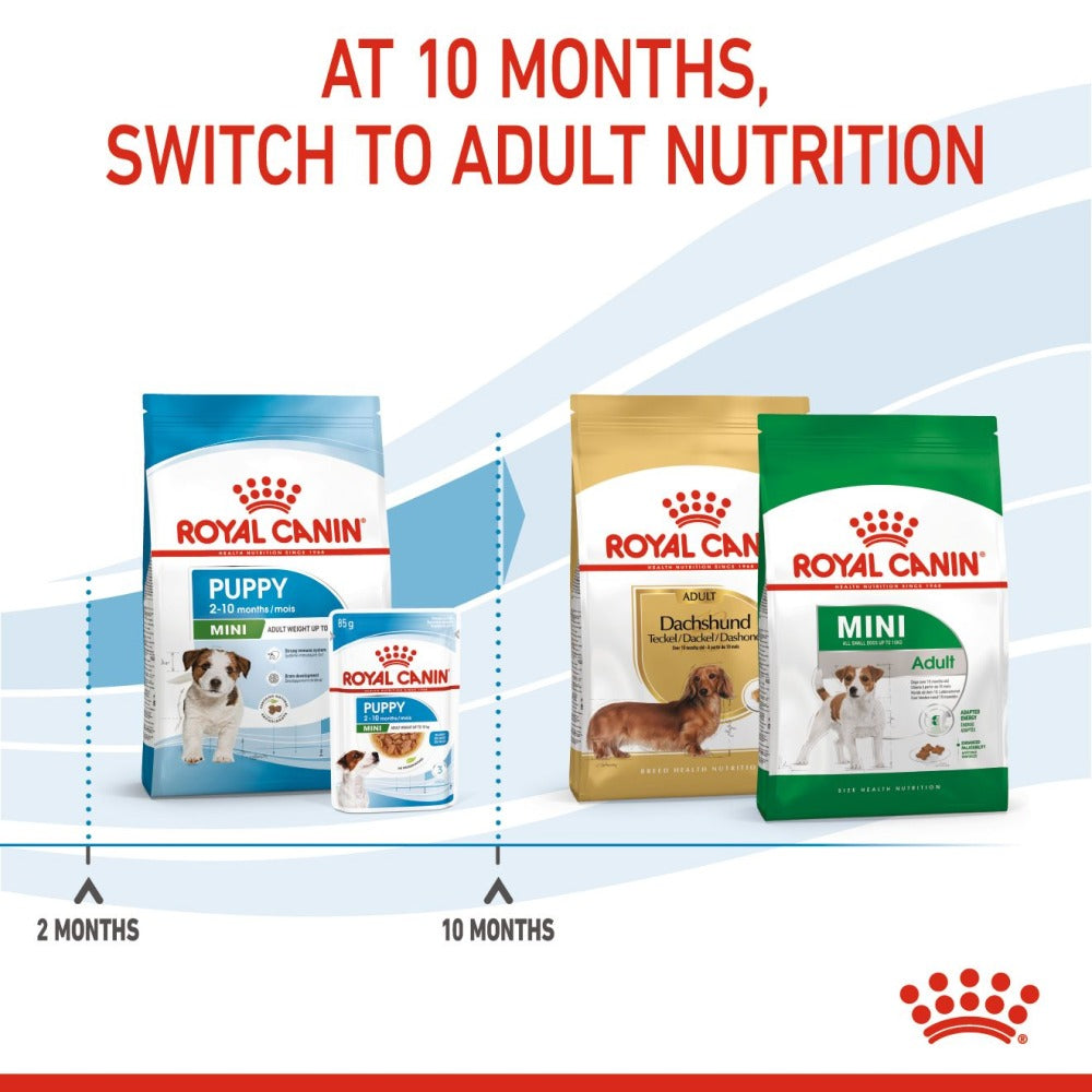 Royal Canin Mini Puppy Dog Dry Food