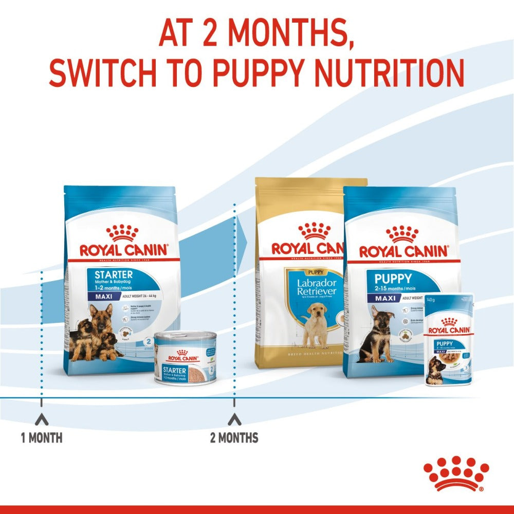 Royal Canin Maxi Starter Dry Food and Maxi Puppy Dog Wet Food Combo